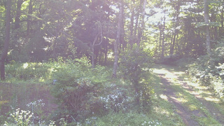長野県菅平高原 ゆたか山荘 坂上 2026/07/30 07:30
