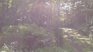 長野県菅平高原 ゆたか山荘 坂上 2026/07/30 07:45