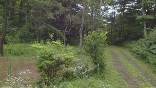 長野県菅平高原 ゆたか山荘 坂上 2026/07/30 08:00