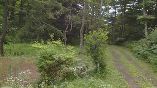 長野県菅平高原 ゆたか山荘 坂上 2026/07/30 08:15