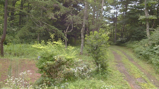 長野県菅平高原 ゆたか山荘 坂上 2026/07/30 08:30