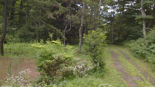 長野県菅平高原 ゆたか山荘 坂上 2026/07/30 08:45