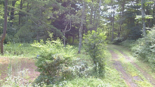 長野県菅平高原 ゆたか山荘 坂上 2026/07/30 09:00