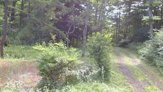 長野県菅平高原 ゆたか山荘 坂上 2026/07/30 09:15