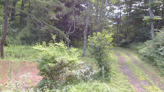 長野県菅平高原 ゆたか山荘 坂上 2026/07/30 09:30