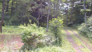 長野県菅平高原 ゆたか山荘 坂上 2026/07/30 09:45