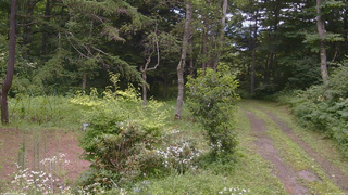 長野県菅平高原 ゆたか山荘 坂上 2026/07/30 11:00