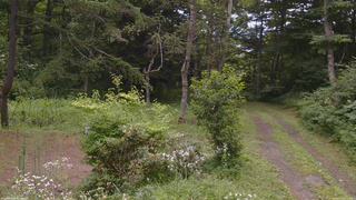 長野県菅平高原 ゆたか山荘 坂上 2026/07/30 11:15