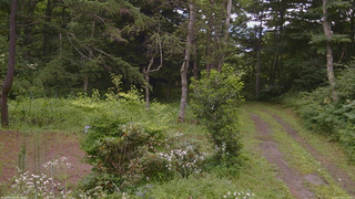 長野県菅平高原 ゆたか山荘 坂上 2026/07/30 11:30