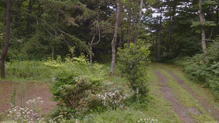 長野県菅平高原 ゆたか山荘 坂上 2026/07/30 11:45