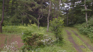 長野県菅平高原 ゆたか山荘 坂上 2026/07/30 12:00
