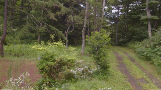 長野県菅平高原 ゆたか山荘 坂上 2026/07/30 12:15