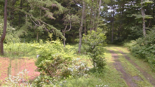 長野県菅平高原 ゆたか山荘 坂上 2026/07/30 12:30