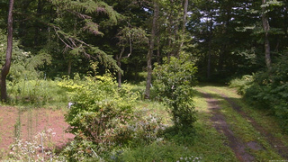 長野県菅平高原 ゆたか山荘 坂上 2026/07/30 12:45