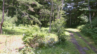長野県菅平高原 ゆたか山荘 坂上 2026/07/30 13:15