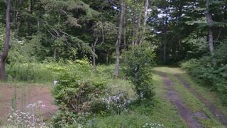 長野県菅平高原 ゆたか山荘 坂上 2026/07/30 13:30