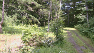 長野県菅平高原 ゆたか山荘 坂上 2026/07/30 13:45