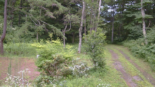 長野県菅平高原 ゆたか山荘 坂上 2026/07/30 14:00