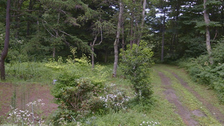 長野県菅平高原 ゆたか山荘 坂上 2026/07/30 14:15