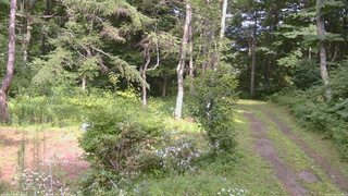 長野県菅平高原 ゆたか山荘 坂上 2026/07/30 14:30