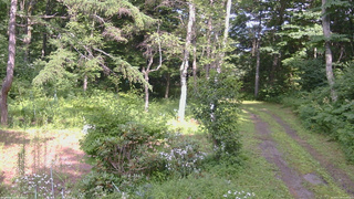 長野県菅平高原 ゆたか山荘 坂上 2026/07/30 14:45