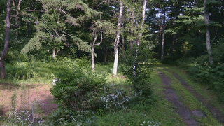 長野県菅平高原 ゆたか山荘 坂上 2026/07/30 15:00