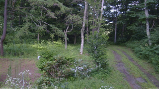 長野県菅平高原 ゆたか山荘 坂上 2026/07/30 15:15
