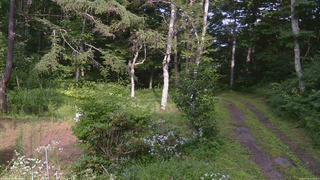 長野県菅平高原 ゆたか山荘 坂上 2026/07/30 15:30