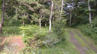 長野県菅平高原 ゆたか山荘 坂上 2026/07/30 15:45