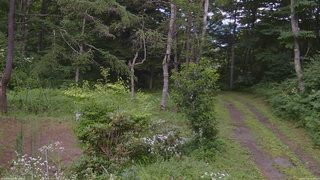 長野県菅平高原 ゆたか山荘 坂上 2026/07/30 16:00