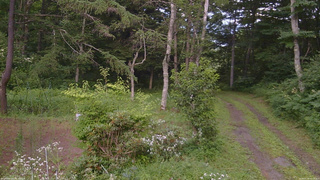 長野県菅平高原 ゆたか山荘 坂上 2026/07/30 16:15