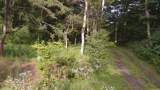 長野県菅平高原 ゆたか山荘 坂上 2026/07/30 16:30