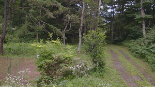 長野県菅平高原 ゆたか山荘 坂上 2026/07/30 16:45