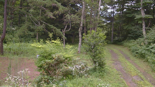 長野県菅平高原 ゆたか山荘 坂上 2026/07/30 17:15