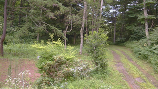 長野県菅平高原 ゆたか山荘 坂上 2026/07/30 17:30