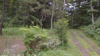 長野県菅平高原 ゆたか山荘 坂上 2026/07/30 17:45