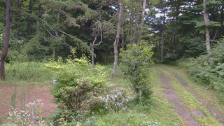 長野県菅平高原 ゆたか山荘 坂上 2026/07/30 18:00