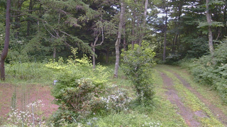 長野県菅平高原 ゆたか山荘 坂上 2026/07/30 18:15