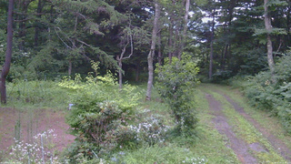 長野県菅平高原 ゆたか山荘 坂上 2026/07/30 18:30