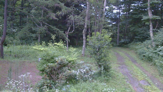 長野県菅平高原 ゆたか山荘 坂上 2026/07/30 18:45
