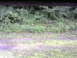 長野県菅平高原 ゆたか山荘 東側(坂下) 2026/07/31 16:45