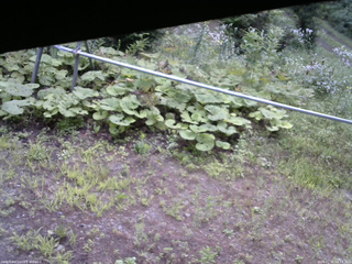 長野県菅平高原 ゆたか山荘 駐車場 2026/07/31 08:15