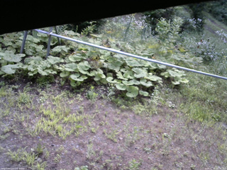 長野県菅平高原 ゆたか山荘 駐車場 2026/07/31 08:30