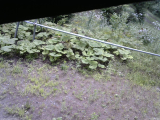 長野県菅平高原 ゆたか山荘 駐車場 2026/07/31 09:30