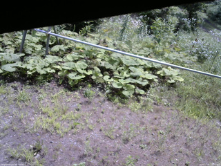 長野県菅平高原 ゆたか山荘 駐車場 2026/07/31 10:15