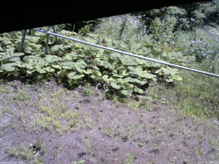 長野県菅平高原 ゆたか山荘 駐車場 2026/07/31 10:30
