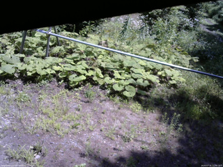 長野県菅平高原 ゆたか山荘 駐車場 2026/07/31 11:45