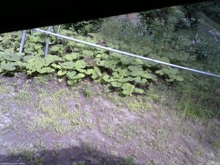 長野県菅平高原 ゆたか山荘 駐車場 2026/07/31 14:30