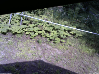 長野県菅平高原 ゆたか山荘 駐車場 2026/07/31 14:45