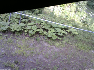 長野県菅平高原 ゆたか山荘 駐車場 2026/07/31 16:45